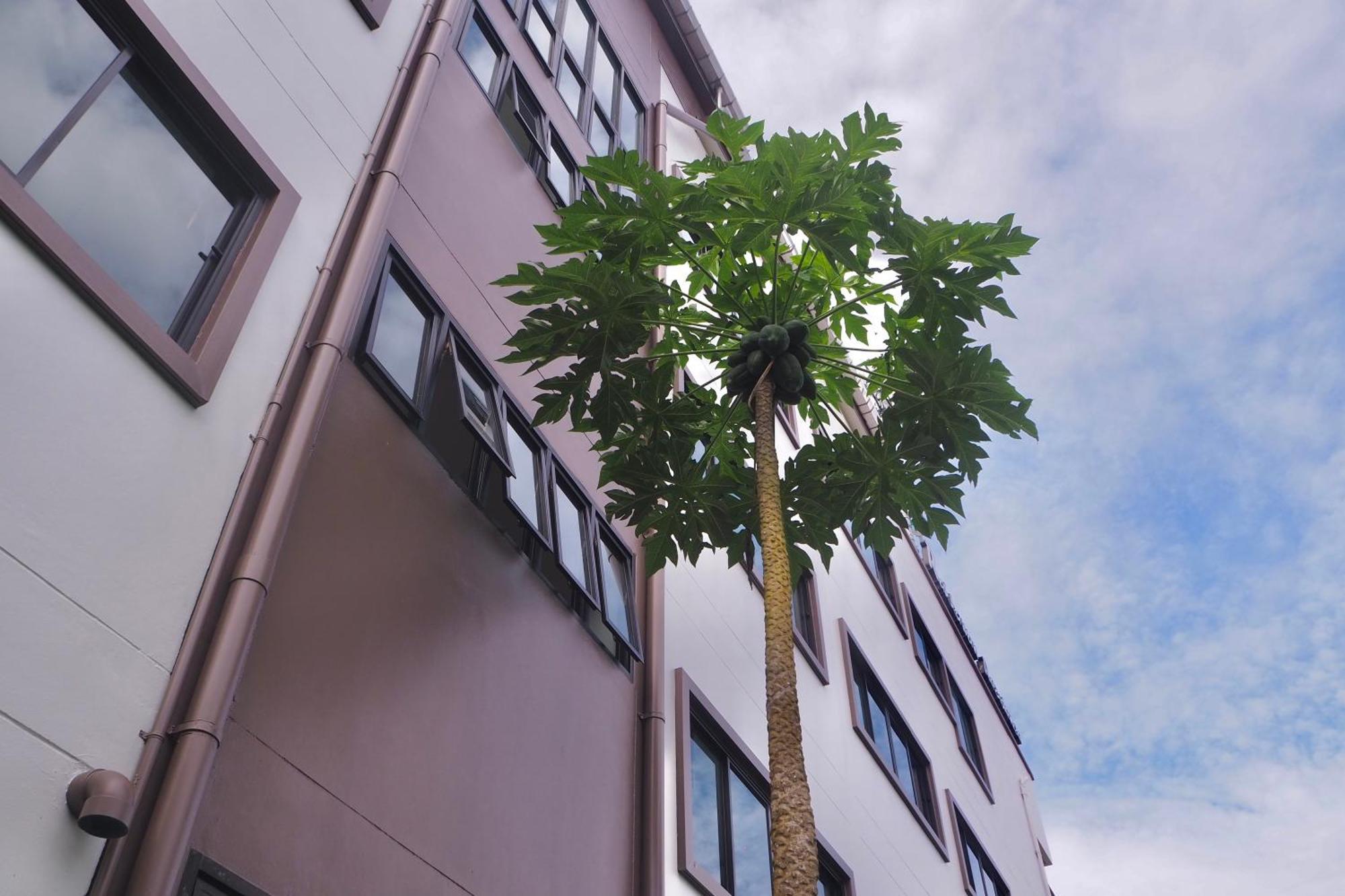 Rakkawan Residence Khao Lak Ngoại thất bức ảnh